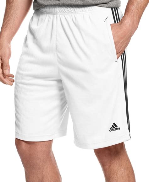 adidas shorts herren weiß|Adidas white shorts.